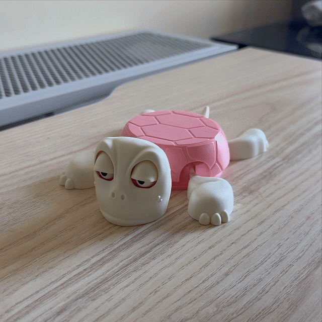 Pop Up Turtle Coaster